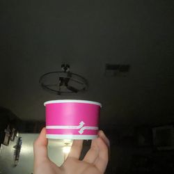 La Michoacana Ice Cream Parlor - This is the size they give for two scoops.