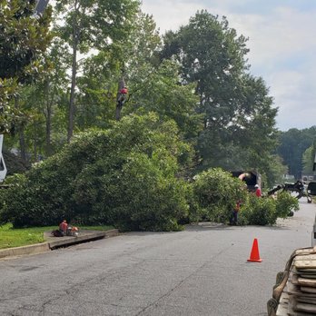 Tomahawk Tree Service - Tree Services Near Me - Roswell, Georgia Tomahawk Tree Service - Tree Services Near Me - Roswell, Georgia