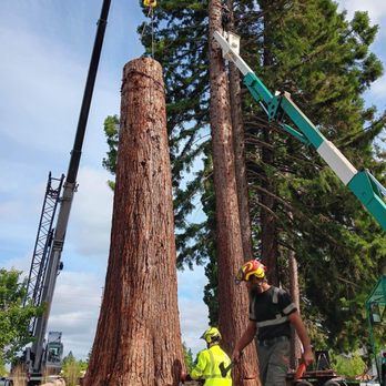Tree Talk - Tree Services Near Me Tree Talk - Tree Services Near Me