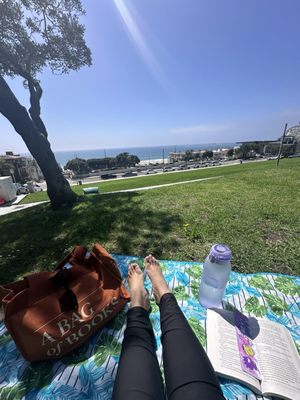 Bruce's Beach by null