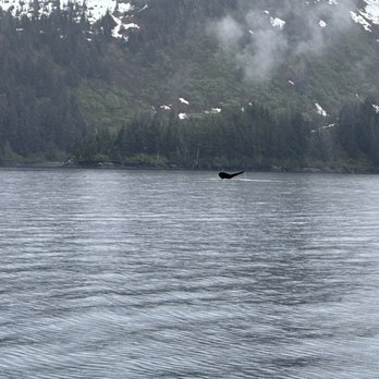 Northern Latitude Adventures - Boat Charters Near Me Northern Latitude Adventures - Boat Charters Near Me