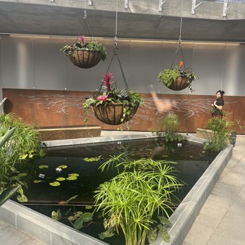 Myriad Botanical Gardens - Botanical Gardens Near Me - Oklahoma City, Oklahoma