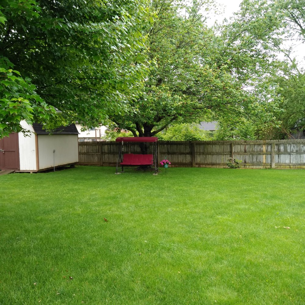 Andy's tree & landscape - Before trimming. - Tree Services Near Me - Indianapolis, Indiana