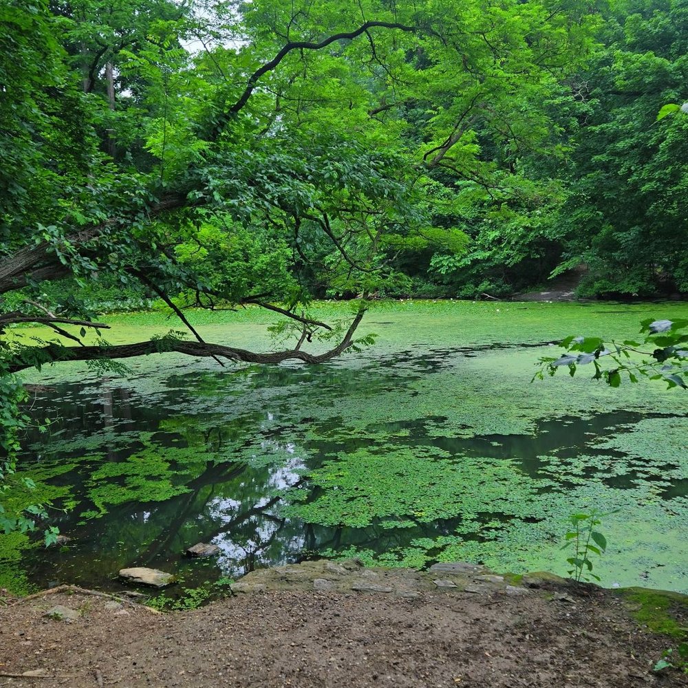 Van Cortlandt Park  - Parks Near Me - Bronx, New York
