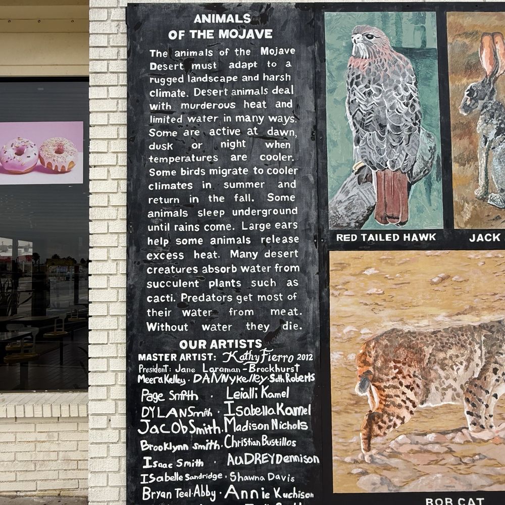 Starlight Donuts - Mojave animals - Donuts Near Me - Barstow, California