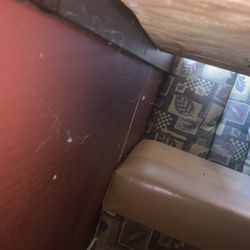 Touch of Asia buffet - Spider web gross