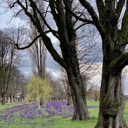 Rheinpark Golzheim
