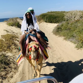 Cactus Tours - Camel Riding - Tours Near Me - Cabo San Lucas, BCS