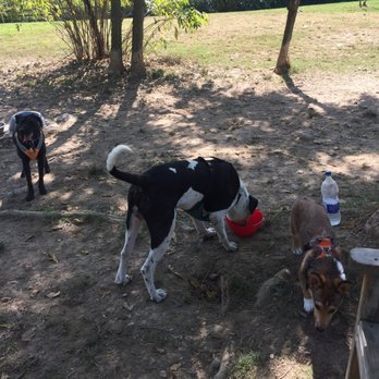 Cornwall Dog Park - Dog Parks Near Me - Cornwall, New York