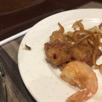 Lin's Grand Buffet - Cockroach that crawled out of our orange chicken. - Buffets Near Me - Tucson, Arizona Lin's Grand Buffet - Cockroach that crawled out of our orange chicken. - Buffets Near Me - Tucson, Arizona
