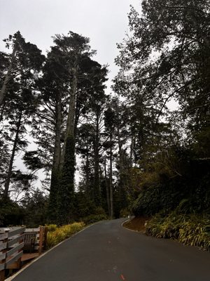 Inn At Otter Crest by null