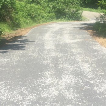 All Phase Property Maintenance - a paved road with trees and bushes - Landscaping Near Me - Essex Junction, Vermont All Phase Property Maintenance - a paved road with trees and bushes - Landscaping Near Me - Essex Junction, Vermont