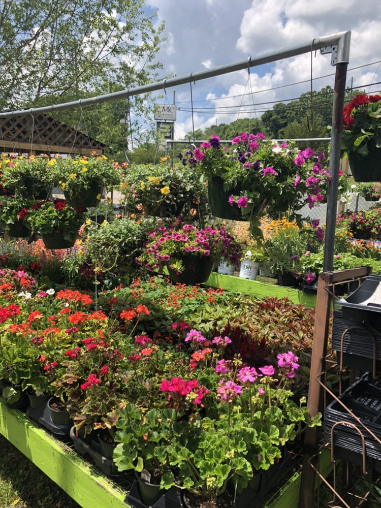 ADALEIGHS NURSERY Updated September 2024 9 New Airport Rd, Lagrange