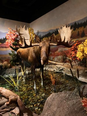 Bass Pro Shops (Formerly Cabela's) by null