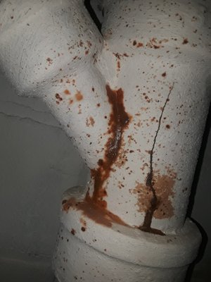 Adam The Plumber Logo