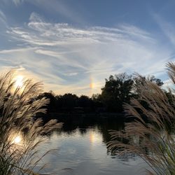 Ridder's Pond Park - Wow.