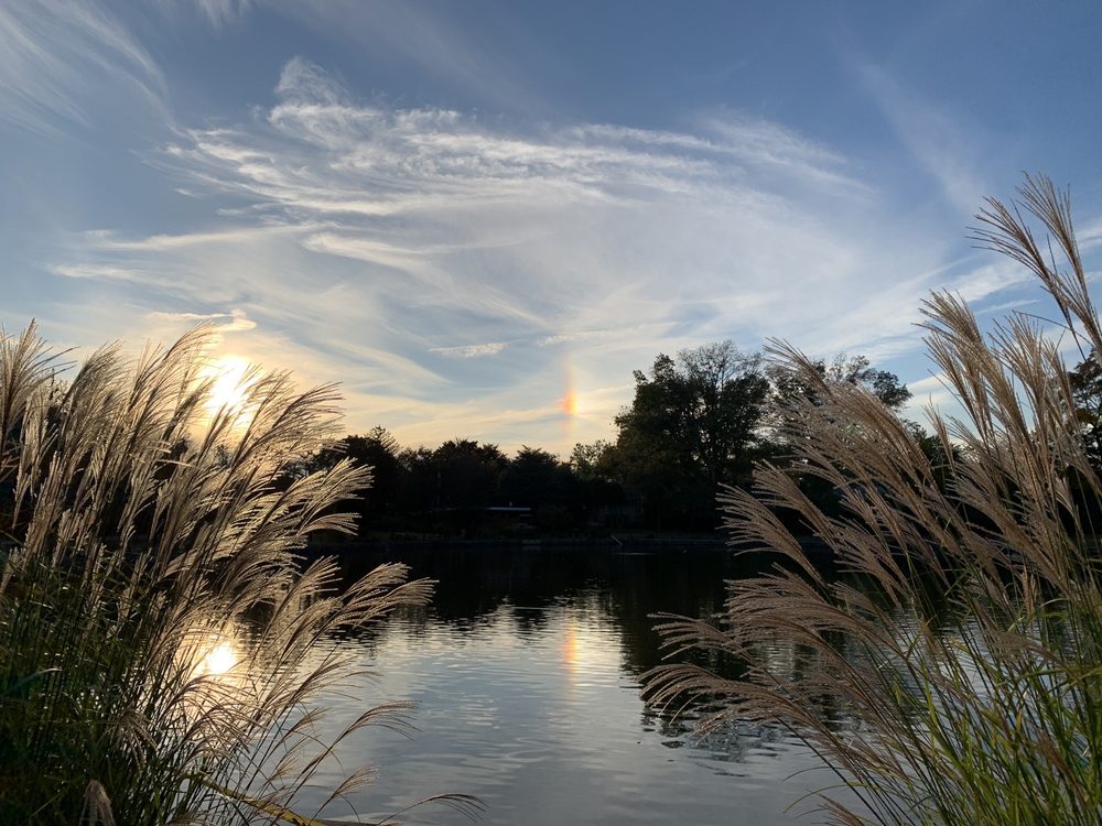 Ridder's Pond Park Image