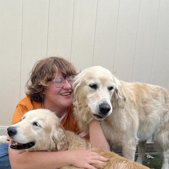 Dogtopia - Dog Daycare - Pet Boarding Near Me - Bloomfield Hills, Michigan Dogtopia - Dog Daycare - Pet Boarding Near Me - Bloomfield Hills, Michigan