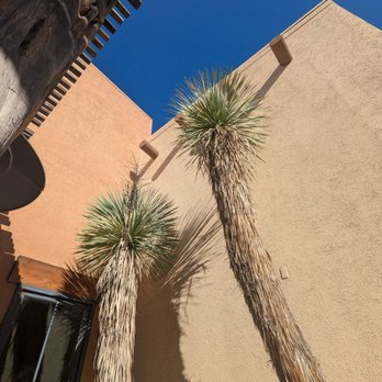 Blue Mesa Grill - Mexican Near Me - Dallas, Texas Blue Mesa Grill - Mexican Near Me - Dallas, Texas