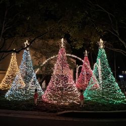 Christmas Light Show