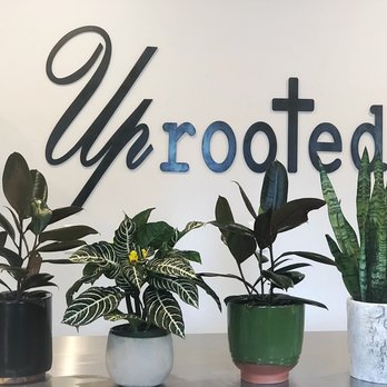 Uprooted - Florists Near Me - Chandler, Texas Uprooted - Florists Near Me - Chandler, Texas