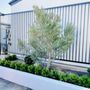 Photo of Summerland Self Storage 