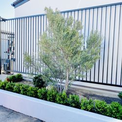 Summerland Self Storage  - entry way