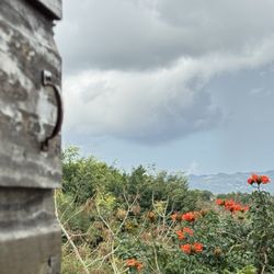Parada Tipica - View of land