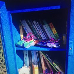 Little Free Library - True blue has lots of space