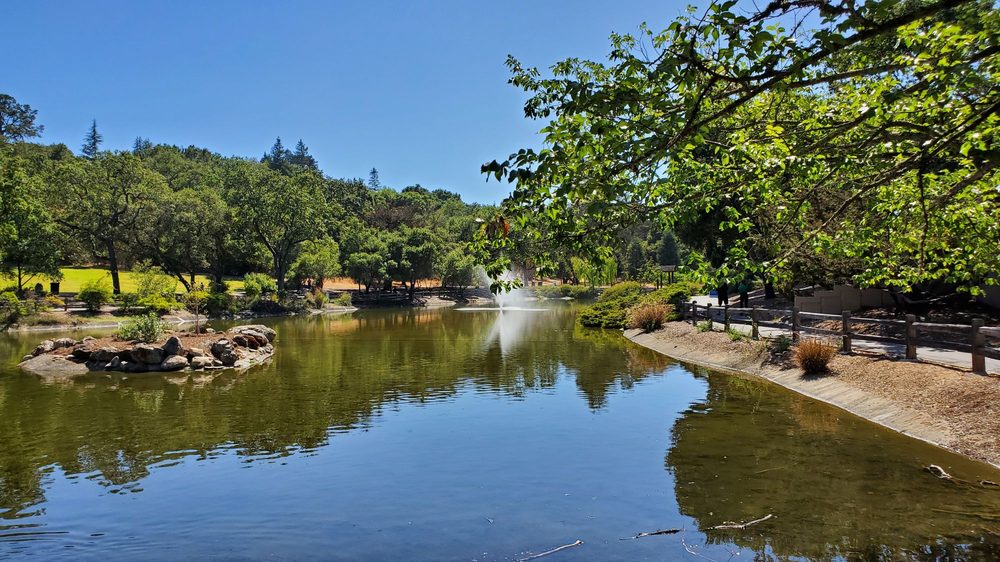SHARON PARK Updated July 2024 147 Photos & 39 Reviews Sharon Park Dr & Lassen Dr, Menlo