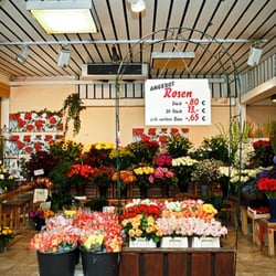 Rosen-Kroppen - Schnittblumen