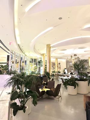 Bleau Bar by null