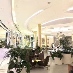 Bleau Bar