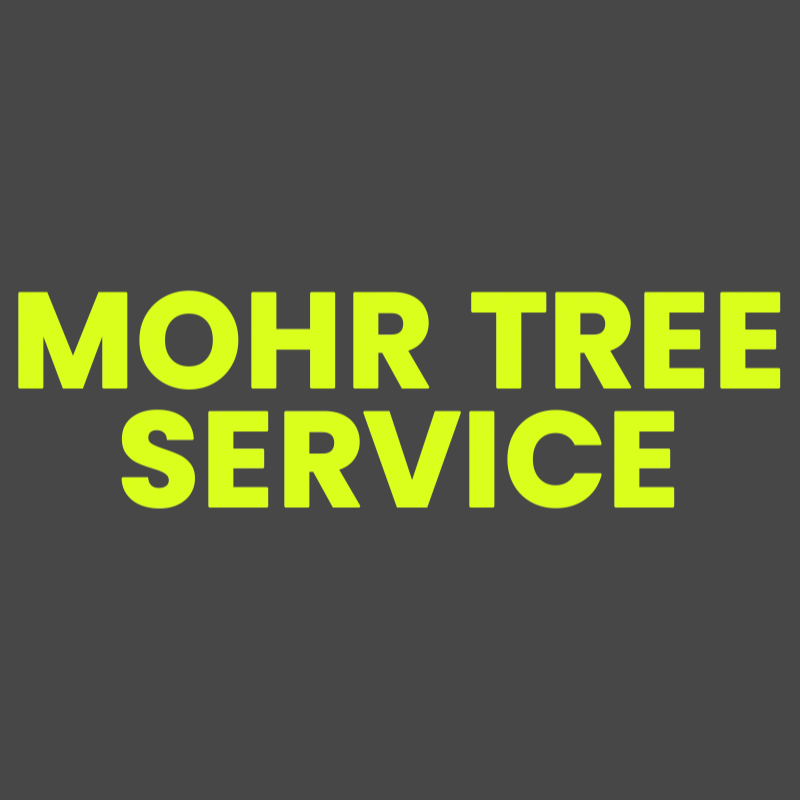 Mohr Tree Service - tree service in Rochester, NY