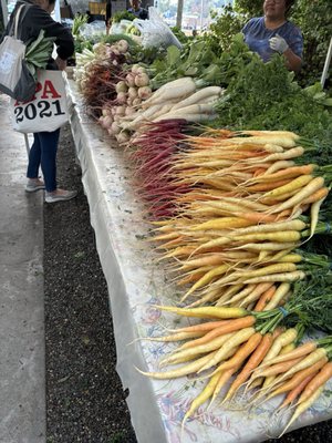 The Vineyard Farmer's Market by null