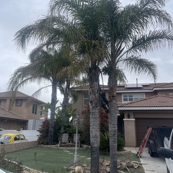 Edmar Tree Service & Landscaping - Before - Landscaping Near Me Edmar Tree Service & Landscaping - Before - Landscaping Near Me