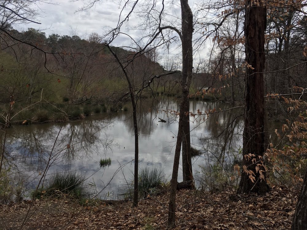 MURPHEY CANDLER PARK 153 Photos & 37 Reviews 1551 W Nancy Creek Dr