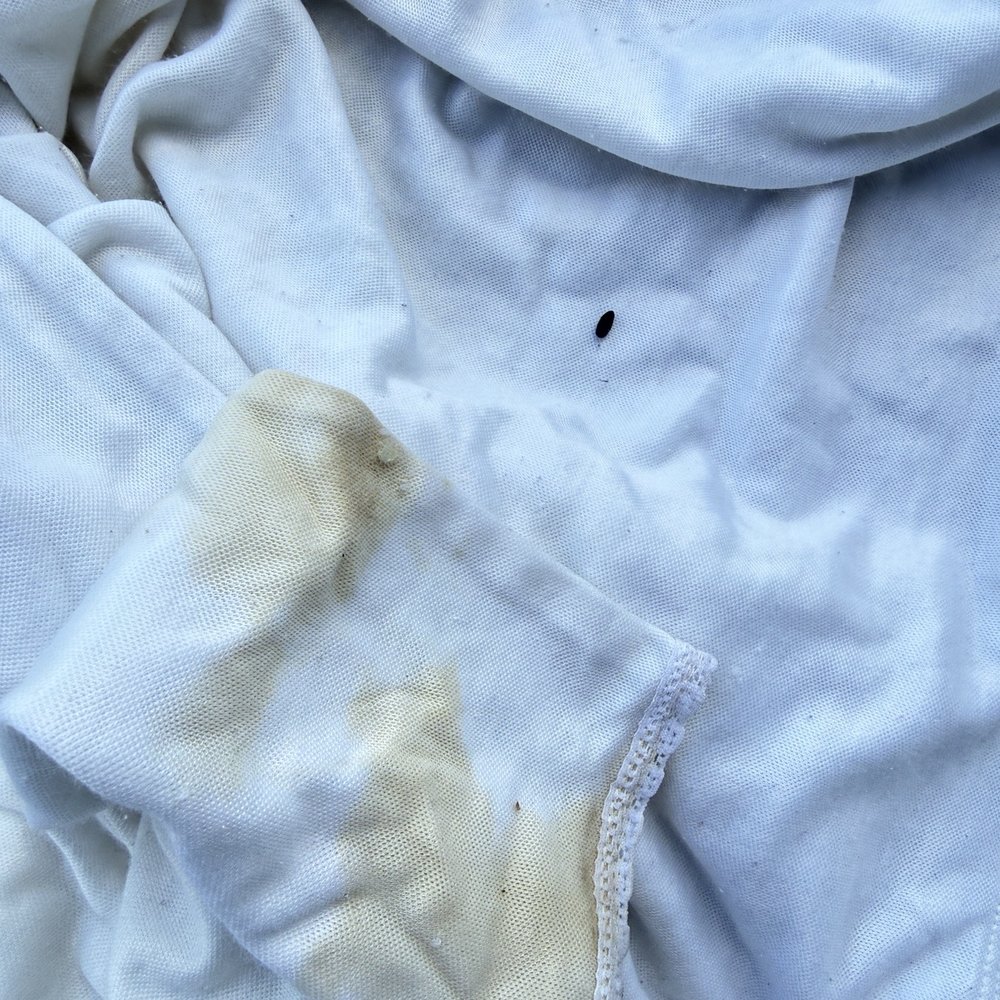 Windsor Commons Self Storage - Mouse urine and droppings. - Self Storage Near Me - Windsor, Colorado