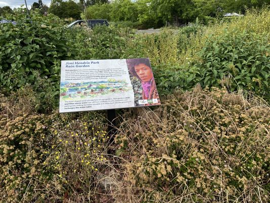 Jimi Hendrix Park by null