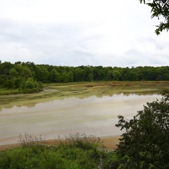 Huntley Meadows Park - Swamp - Parks Near Me - Alexandria, Virginia