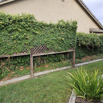 Mega Fence - Another old fence - Fences & Gates Near Me Mega Fence - Another old fence - Fences & Gates Near Me