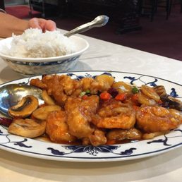 Imperial Garden Shrimp