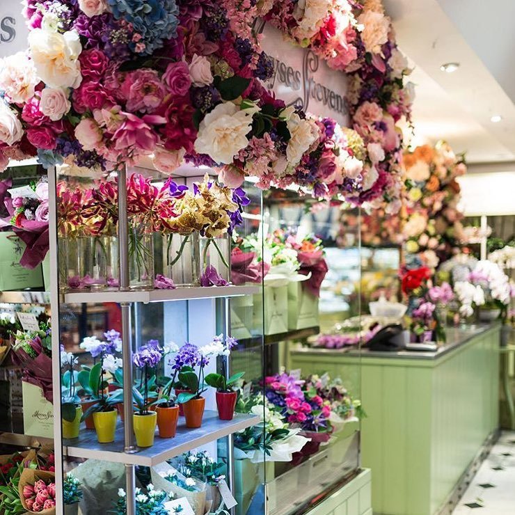 MOYSES STEVENS SELFRIDGES Updated March 2024 Request Information