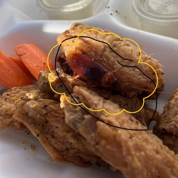Long Wong’s - This is a picture of the live cockroach that was in my chicken wings. - Chicken Wings Near Me - Mesa, Arizona Long Wong’s - This is a picture of the live cockroach that was in my chicken wings. - Chicken Wings Near Me - Mesa, Arizona