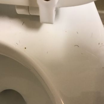 Courtyard by Marriott Springfield Downtown - More hair (pubic trimmings) that matched what I wiped off of all parts of the floor as well. - Hotels Near Me - Springfield, Ohio