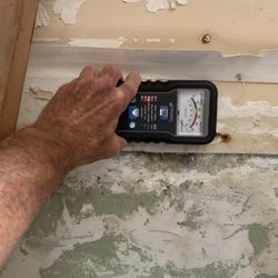 Bay Area Mold Pros