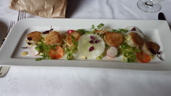 Fitz Roy Urban Hotel, Bar and Garden by null