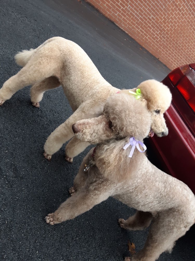 COMMUNITY ANIMAL CLINIC Updated July 2024 42 Photos & 11 Reviews