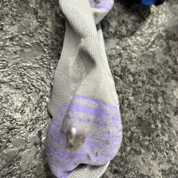 PUR Laundry Laundromat - Pic of a sock that collected a ton of hair in big knots. - Laundromat Near Me - Spokane Valley, Washington PUR Laundry Laundromat - Pic of a sock that collected a ton of hair in big knots. - Laundromat Near Me - Spokane Valley, Washington