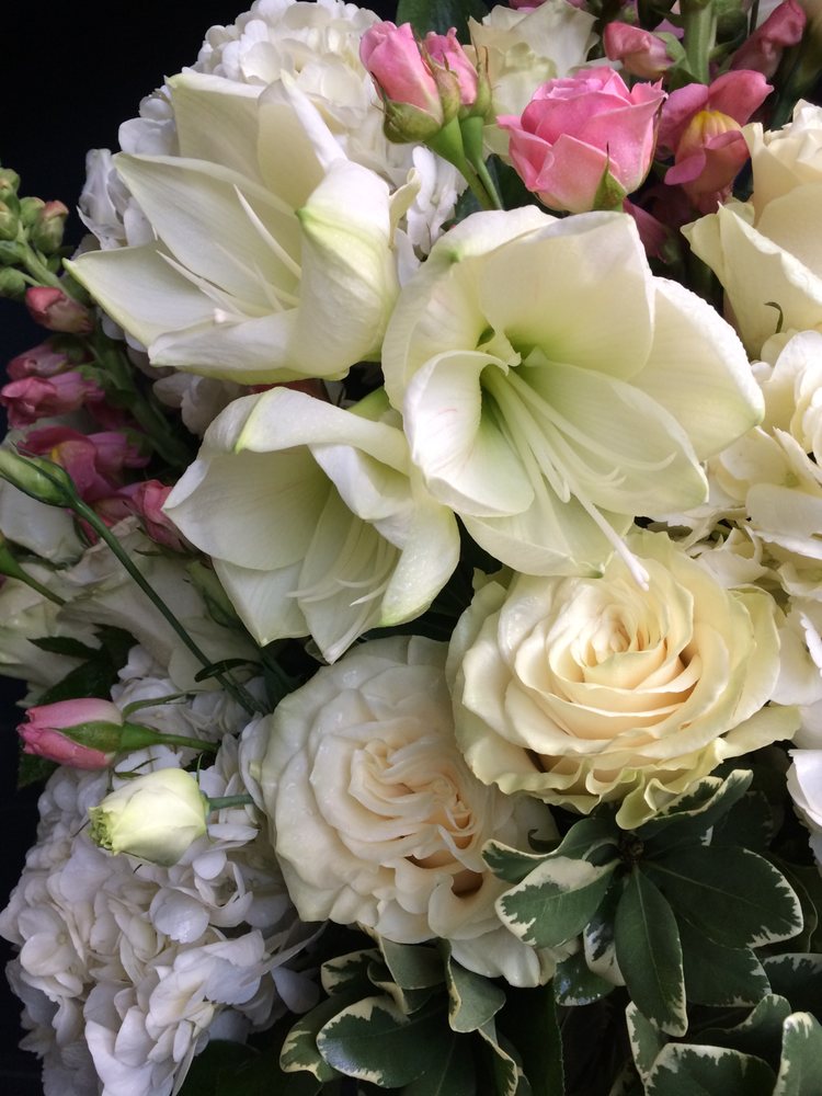 BLOSSOMS ROSEDALE Updated September 2024 2847 Dufferin Street